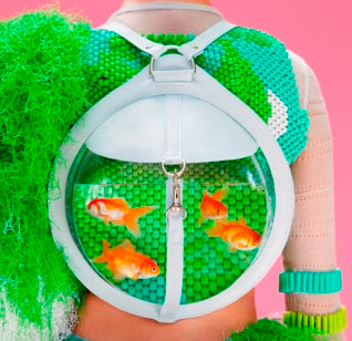 GOLDFISH BOLD
